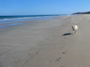 Beachwalk with Tayla